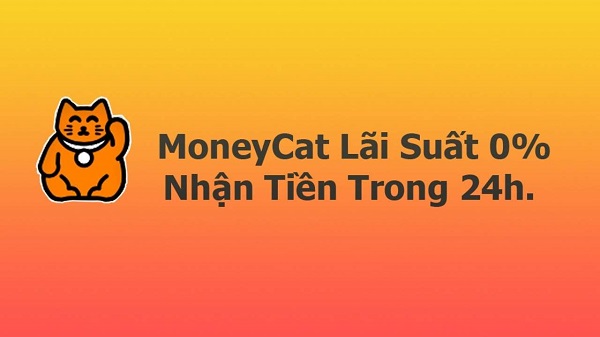 Vay Moneycat