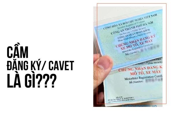 Cầm cavet xe là gì?