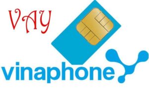 Vay Tiền Bằng Sim Vina Chính Chủ: Điều Kiện, Lãi Suất