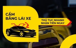 Địa chỉ cầm bằng lái xe uy tín và những điều cần biết trước khi quyết định